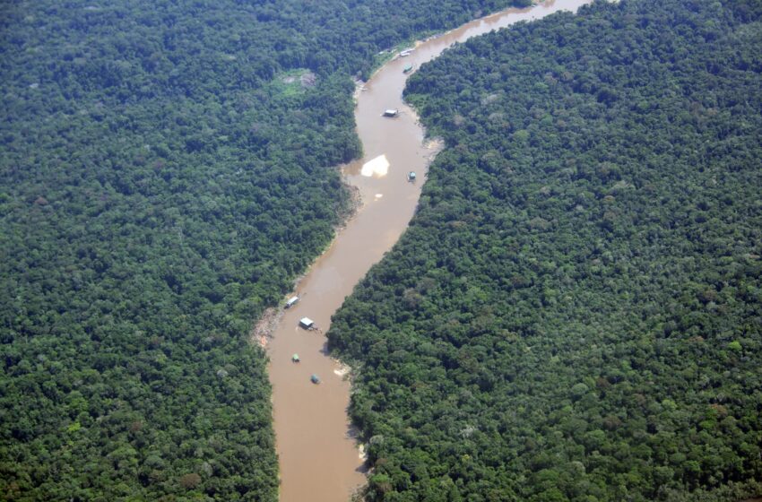  Primera operación binacional contra la minería ilegal en la Amazonía deja grandes resultados