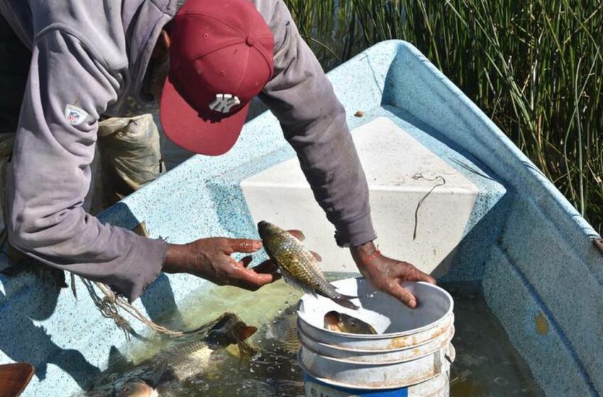  Envejecen pescadores de embalse de Atlangatepec – El Sol de Tlaxcala