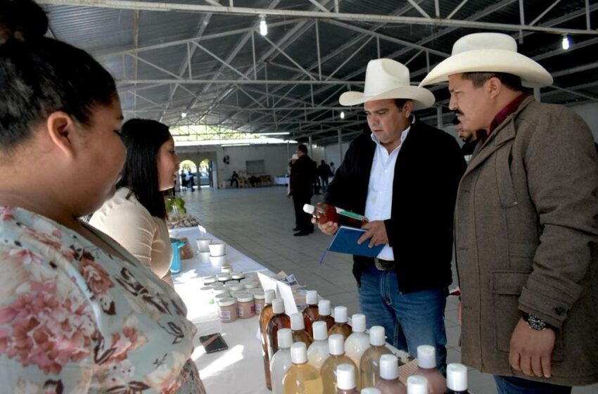  Agroproductores participan en Tianguis Rural en Jaumave – Gobierno del Estado de Tamaulipas