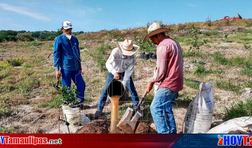  Se espera un 2024 complicado para la agricultura en Tamaulipas