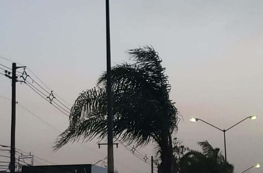  Se pronostica cielo despejado y fuertes vientos para este domingo – El Sol de Tijuana