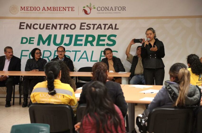  EMPODERA SECRETARÍA DEL CAMPO A LAS MUJERES CON CAPACITACIONES Y …