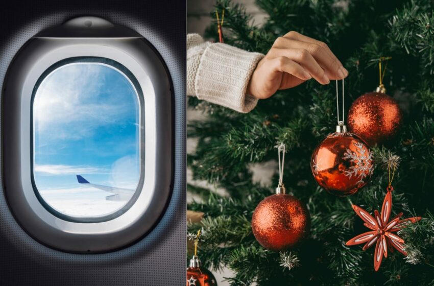  Comida prohibida y permitida en aviones en Navidad y Año Nuevo – Chic Magazine