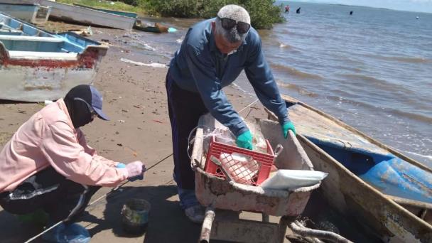  Entregan tarjetas de Bienpesca a pescadores libres en el Mayo – Diario del Yaqui