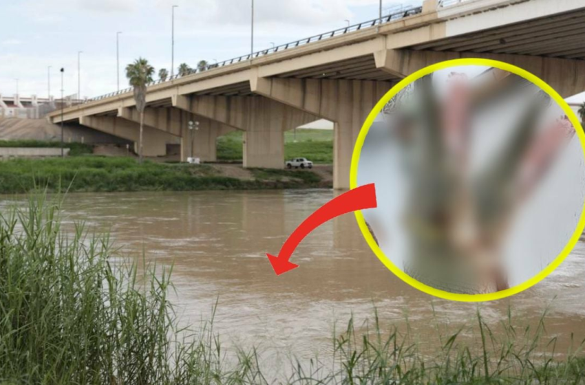  Nuevo Laredo: pescan catán gigante de dos cabezas en el río Bravo