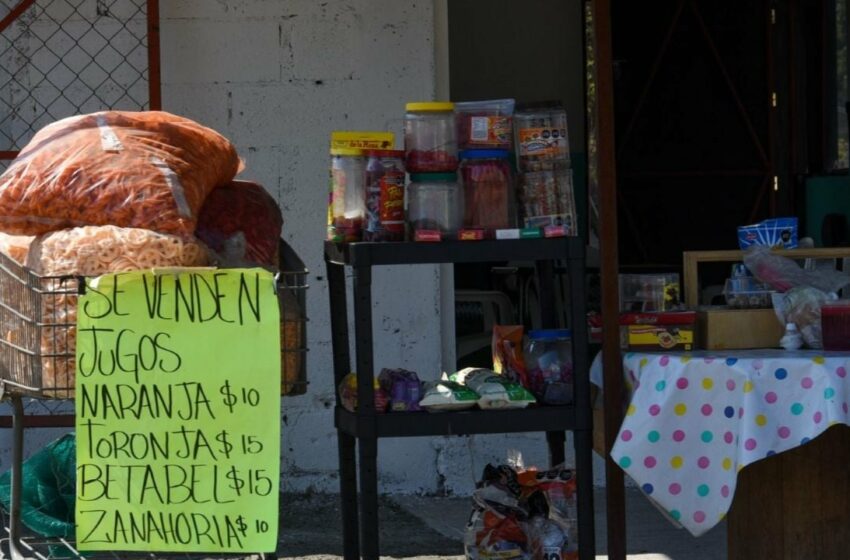  ¿Qué pasará con la comida chatarra en la escuela? Esto dice la ley que entra en vigor