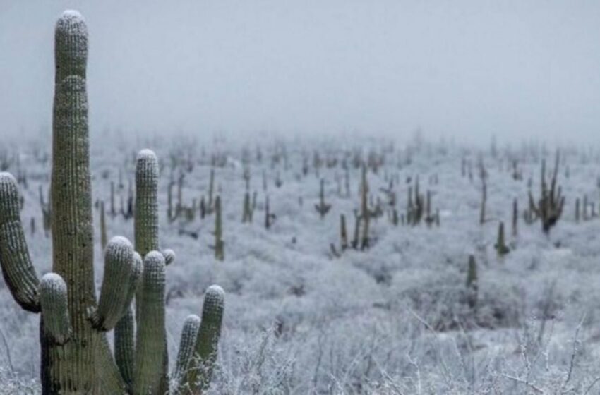  Clima en Sonora HOY 27 de diciembre: Habrá cielo nublado y heladas, advierte Conagua