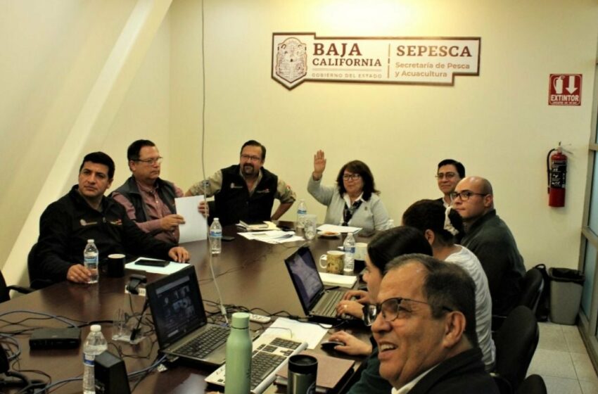  Encabeza la titular de Sepesca sesión del consejo de pesca | Periodico El Vigia