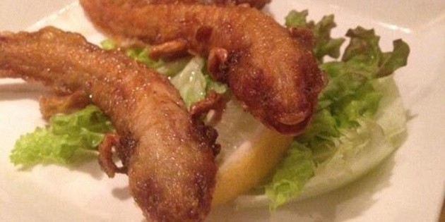  Indigna platillo de ajolotes fritos de restaurante japonés