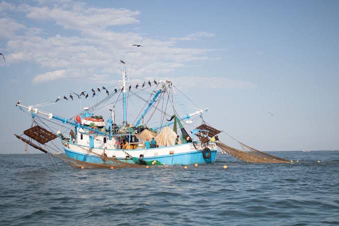  Otorga Gobierno 15 mdp para rescate financiero de pescadores de camarón