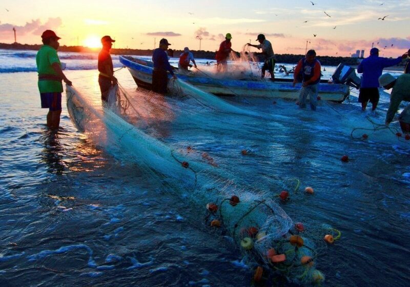 Plantean regularizar pesca en Nayarit con iniciativa de ley – Meganoticias.mx
