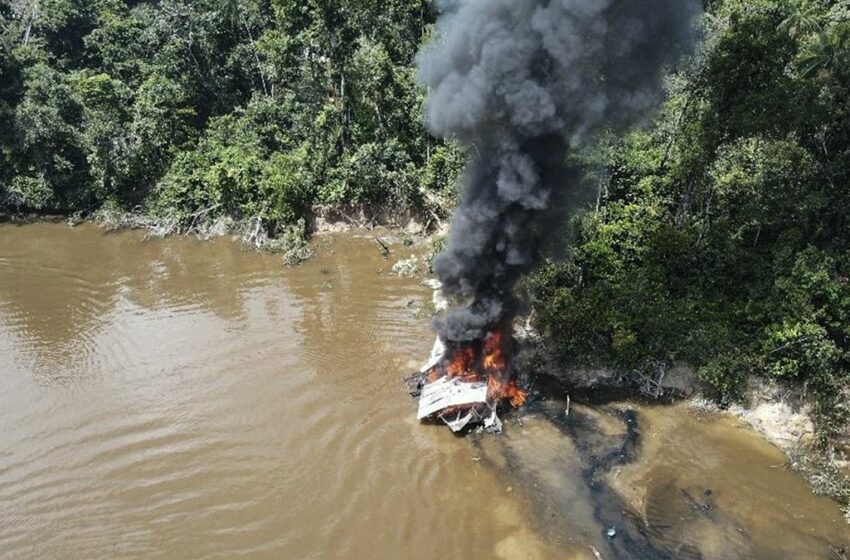  Colombia y Brasil combaten la minería ilegal en la Amazonía – ECO TV Panamá