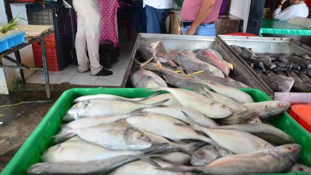  Se registra poca venta de pescados y mariscos en Veracruz