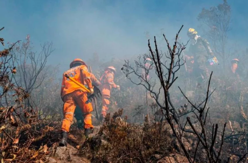  Gobierno Nacional declara situación de desastre y calamidad pública por incendios y el fenómeno de El Niño