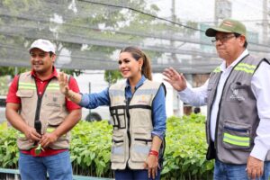  Alista Evelyn Salgado campaña de reforestación para Acapulco y Coyuca de Benítez