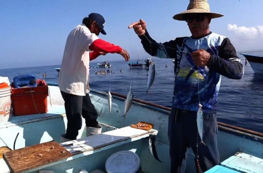  Cortometraje sobre pescadores sudcalifornianos llegará a cines de todo México