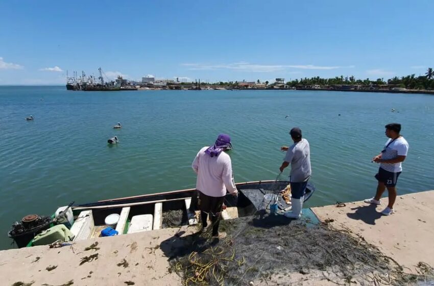  Sonora: Aseguran hay poco para celebrar en Día del Pescador