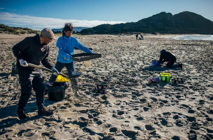  Voluntarios con colador: cientos de personas se lanzan a las playas gallegas para luchar …