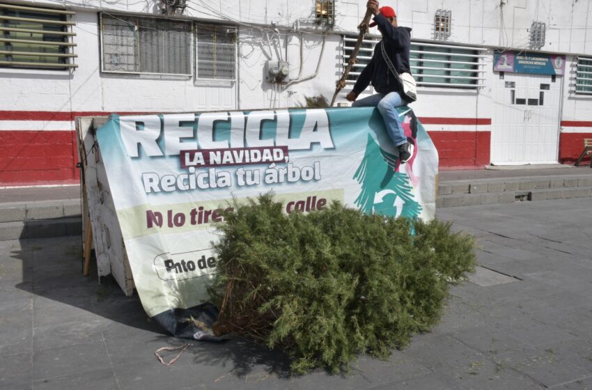  Para promover el cuidado del medio ambiente y prevenir incendios en Nezahualcóyotl se …