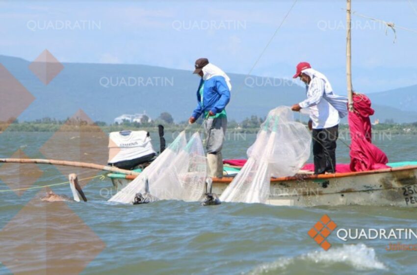  Calentamiento global y prácticas ilegales, amenazas de la pesca en México