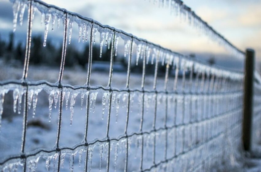  Febrero trae la quinta tormenta invernal, afectará a estos estados – Punto MX