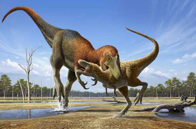  Fósiles que parecían de T. Rex serían de otra especie de dinosaurio, ¿de qué se trata?