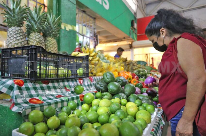  Fortalecen la prevención de cultivos cítricos – Chiapas – Cuarto Poder