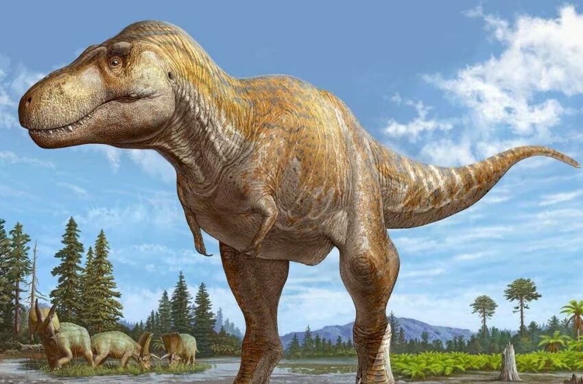  Descubren pariente del T-Rex que ayuda a entender dónde surgió el gran depredador prehistórico