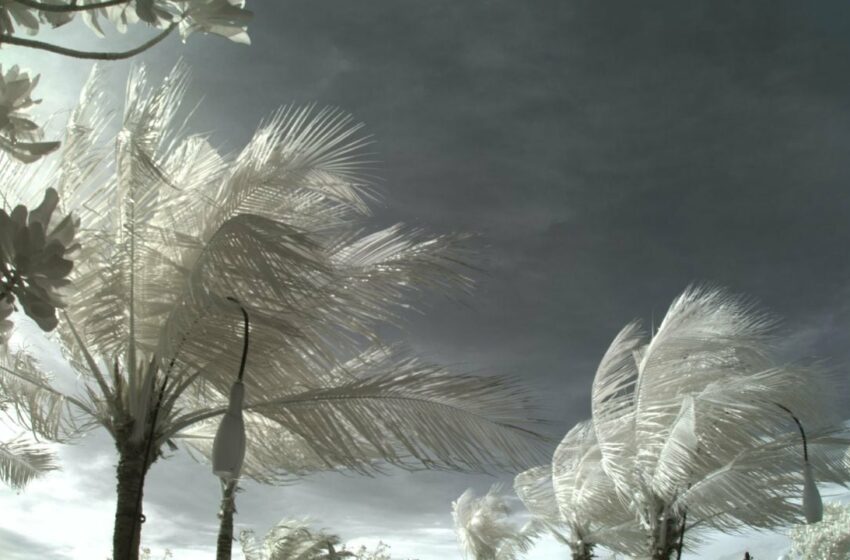  Clima en Sonora: Habrá cielo nublado y heladas HOY miércoles 17 de enero, dice la Conagua