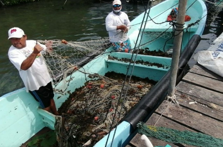  Pescadores de Isla Mujeres perderán más de 4 mdp por el Frente Frío – PorEsto