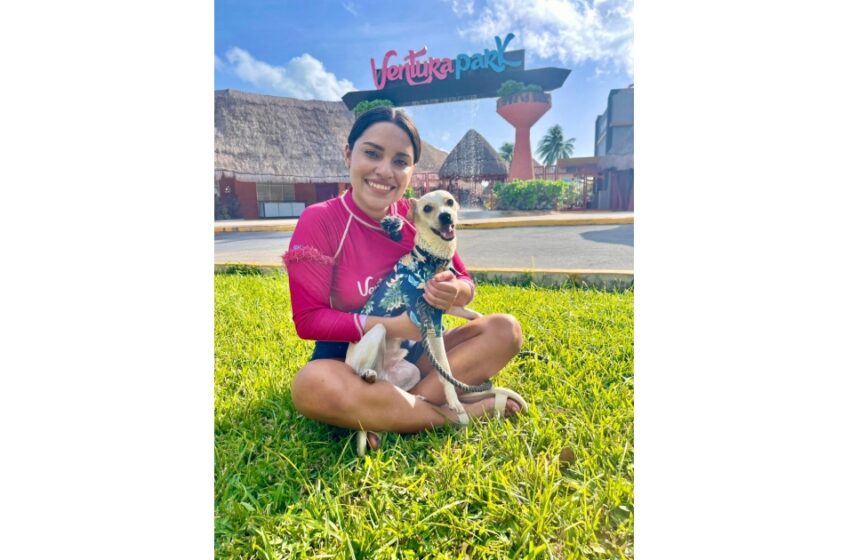  Ventura Park abre sus puertas a las mascotas con el primer "Chapuzón Canino"