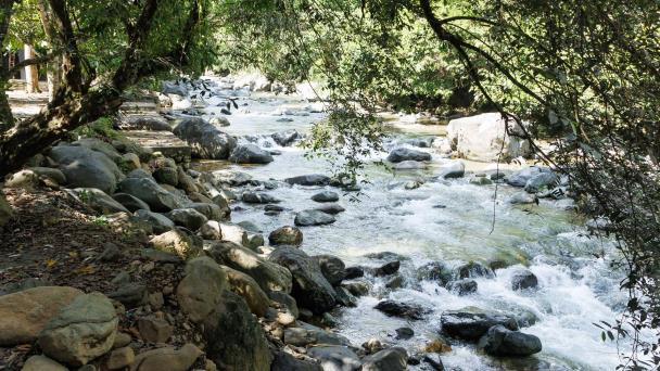  Medio Ambiente reacciona a videos sobre sillas y mesas en río Fula – Diario Libre