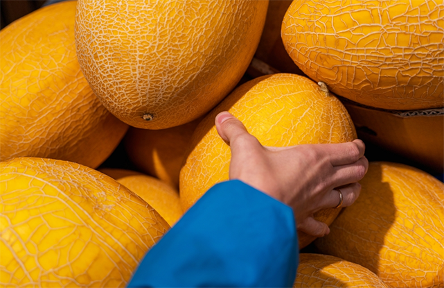  Porqué consumir frutas de estación ayuda a preservar tu salud y la del Medioambiente