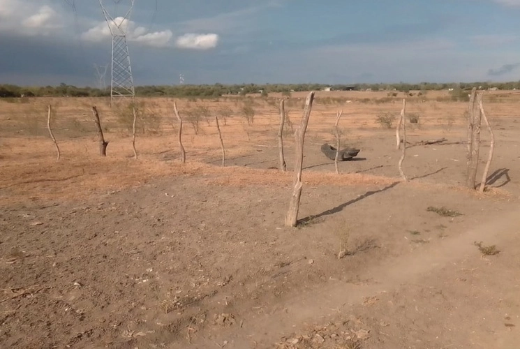  Sequía en Zacatecas creció 14.0% en un mes: Conagua