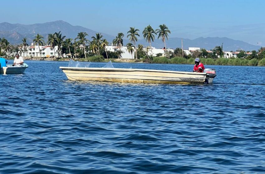  Otis lo dejó sin herramientas para llevar el sustento a su familia – El Sol de Acapulco