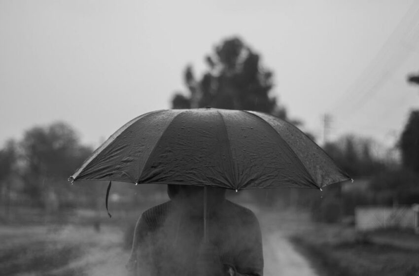  Frente frío número 29 llegará con lluvias, heladas y caída de nieve en estos estados