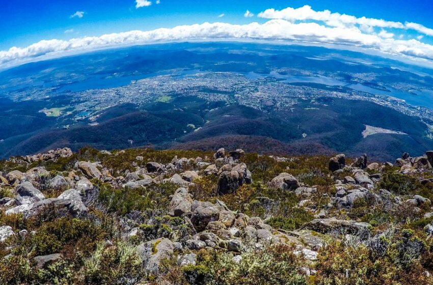  Apuestan por cuidar el medio ambiente – El Sol del Centro