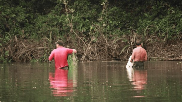  Pescadores preocupados por muerte masiva de peces en Catemaco – Imagen de Veracruz