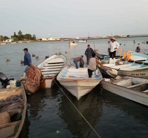  Pescadores del sur de Sonora siguen con problemas; ahora el frío – Diario del Yaqui