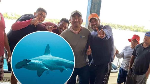  Capturan tiburón de media tonelada en costas de Tabasco l VIDEO – Diario del Istmo
