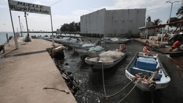  Pescadores de Veracruz piden modificar la veda de especies marinas