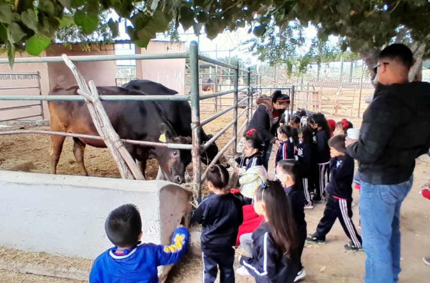  ¡Explora y aprende! UABCS invita a niños y niñas a visitar su granja – Diario Humano
