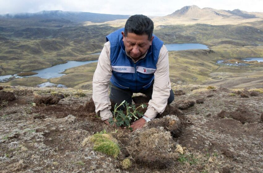  Constantino Aucca: Hay una escasez de liderazgo ambiental en Latinoamérica – El Tiempo