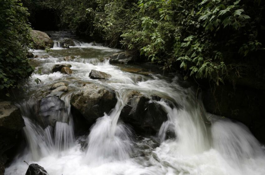  El enorme desafío de restaurar el Parque Nacional Natural Farallones de Cali