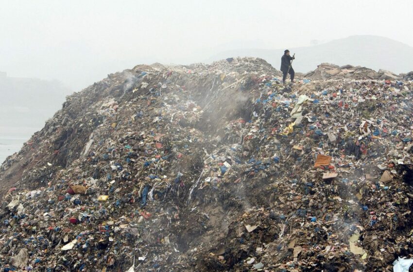  La falta de acción en la gestión mundial de residuos tendrá un alto coste para el … – EFEverde