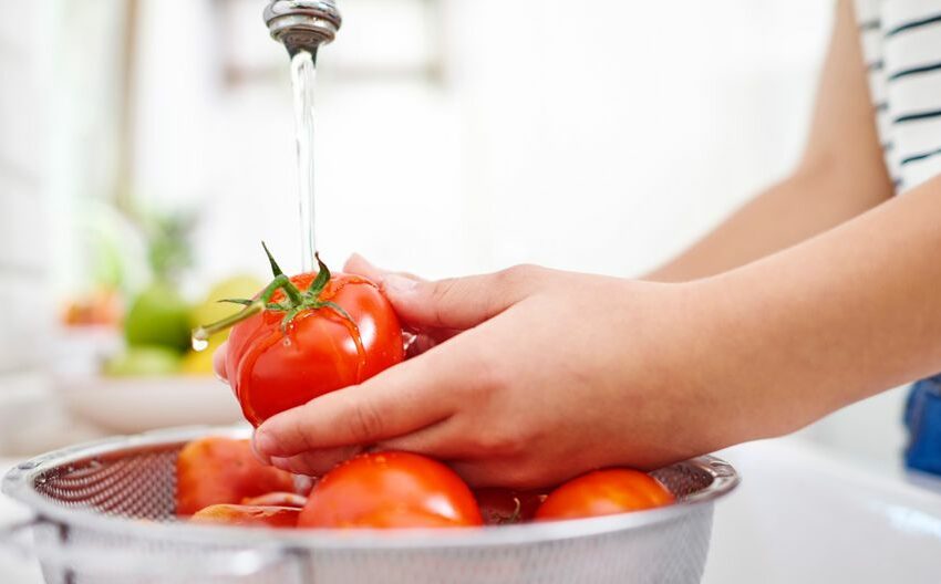  Cuántas gotas de cloro usar para desinfectar frutas y verduras – El Universal