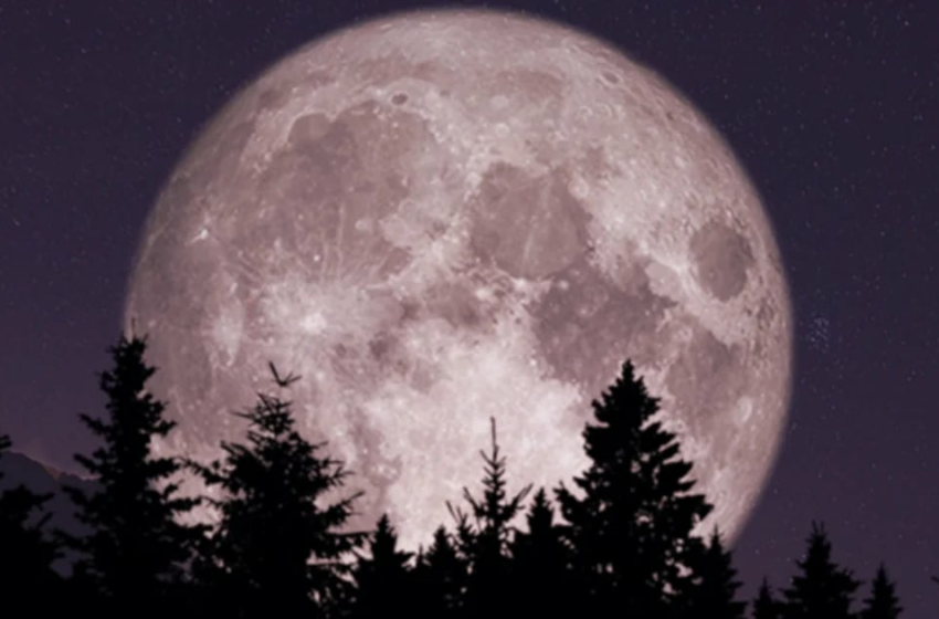 En qué días de febrero se podrán ver la Luna Nueva y las conjunciones de los astros desde México