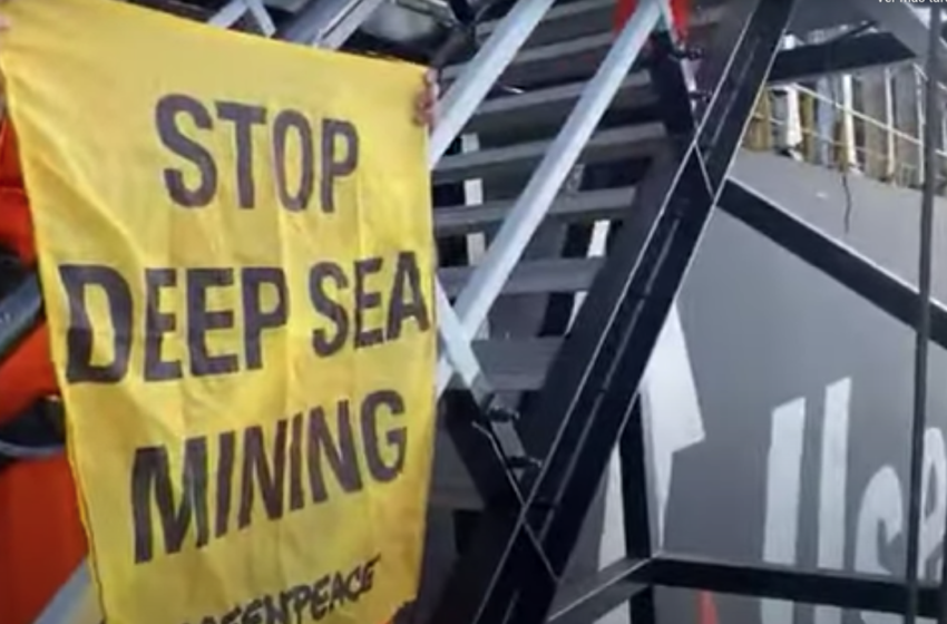  Greenpeace contra la minería submarina, ¿por qué es polémica en México? – El Sol de Tampico