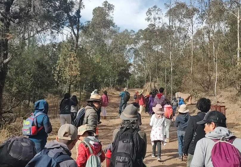  UATx fomenta interés del medio ambiente en las infancias – Síntesis Nacional