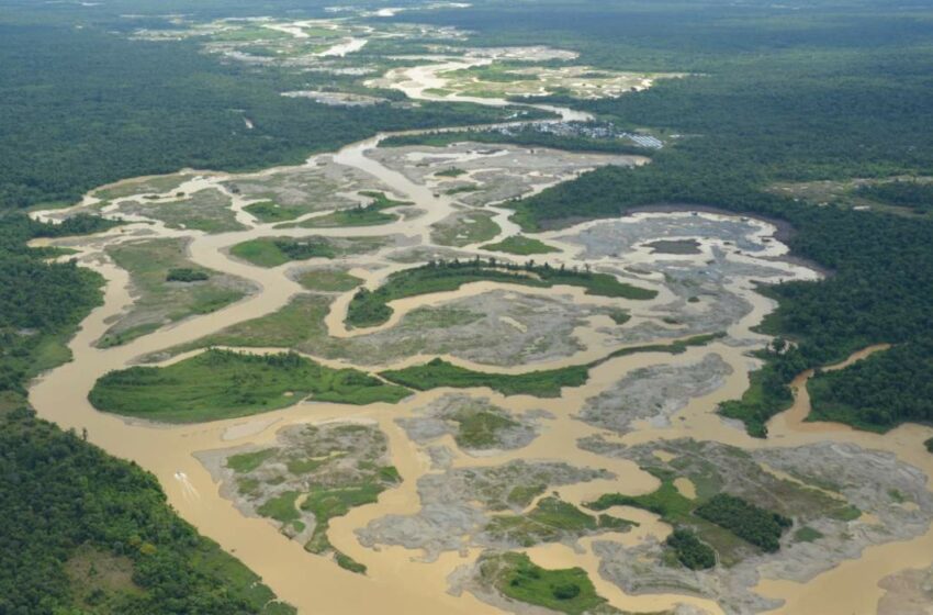  Minería pequeña escala y artesanal operaría en reservas forestales de Colombia